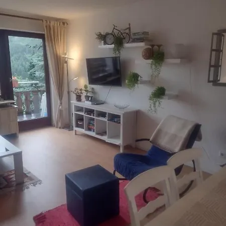 Ferienwohnung Niedersfeld Daire