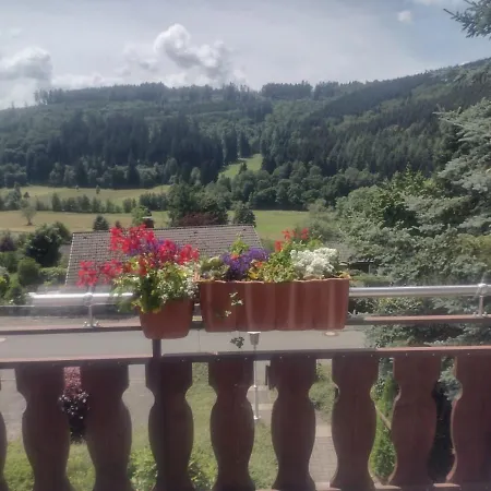 Daire Ferienwohnung Niedersfeld Winterberg